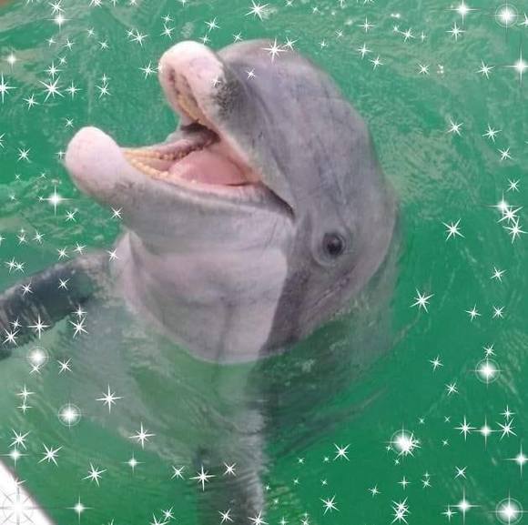 Meet your Posher, Fran - Picture 1 of 1